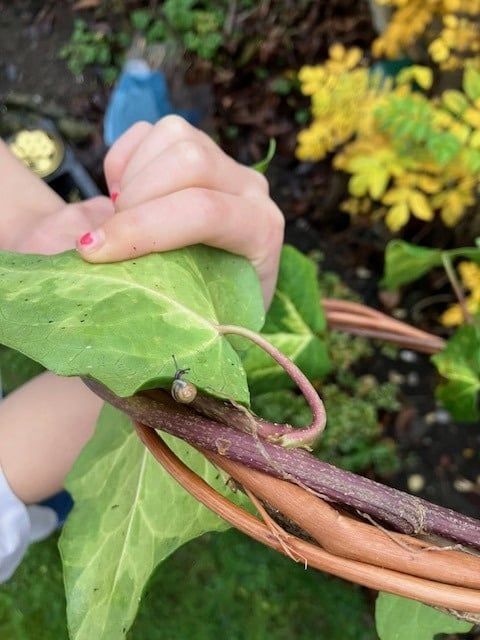 Hands weaving ivy and twigs into a wreath.